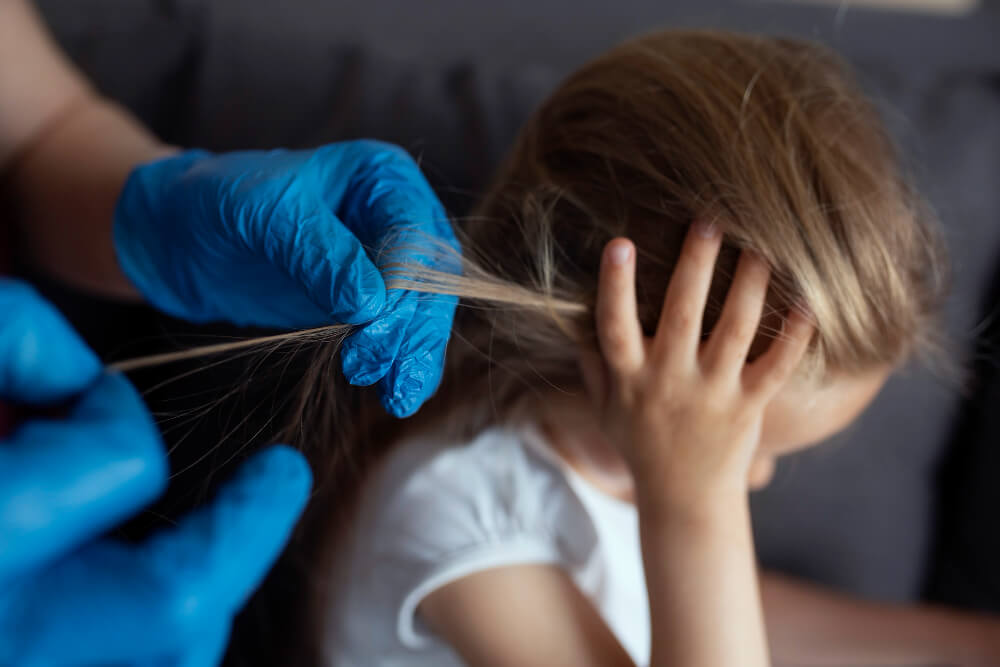 Practical Steps for Dealing with Lice Dreams